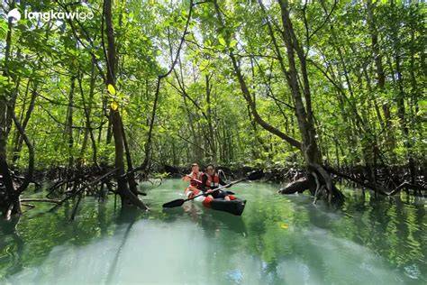 Langkawi Mangrove Tour - A must-visit Ecotourism — Places in Pixel - raincitystudios.com