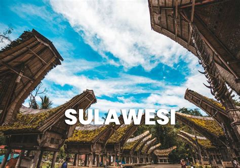 Languages of Sulawesi - wintechmobiles.com