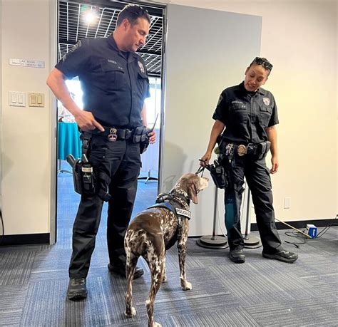 LAPD bomb-sniffing K9 cop retires