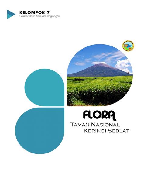 Laporan Flora Taman Nasional Kerinci Seblat - Scribd - raincitystudios.com