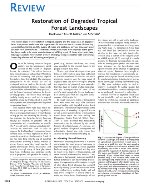 Large‐scale Ecological Restoration of Degraded Tropical Forest Lands ... - raincitystudios.com