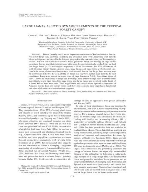 LARGE LIANAS AS HYPERDYNAMIC ELEMENTS OF THE TROPICAL FOREST ... - Ecology - muktibox.com