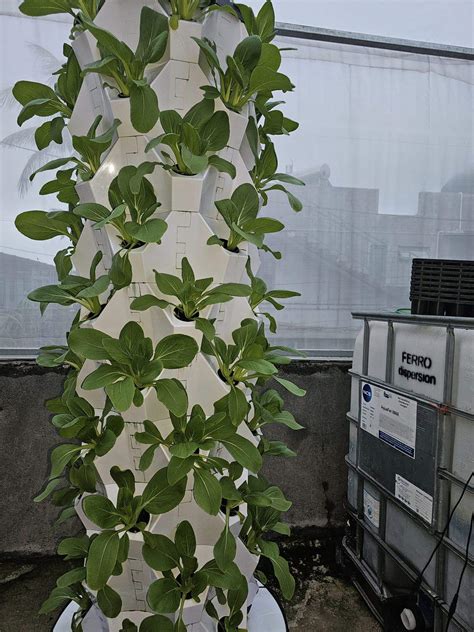 Large Vertical Aeroponics Tower Hydroponic Multilayer Garden Growing ... - raincitystudios.com