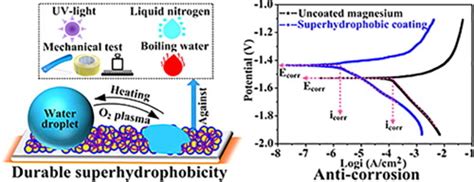 Large-scale fabrication of durable and robust super-hydrophobic spray ... - wintechmobiles.com