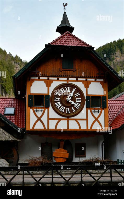 Largest Cuckoo Clock Germany - wintechmobiles.com