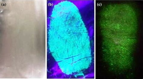 Latent Fingermarks and Electrochemistry: Possibilities for Development ... - wintechmobiles.com