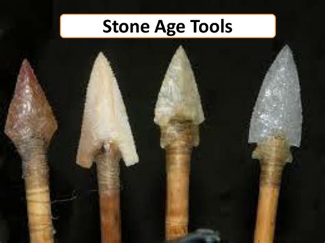 Later Stone Age Tools - The Smithsonian's Human … - wintechmobiles.com