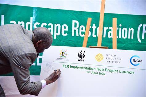 Launch of the Guidelines for Forest Landscape … - raincitystudios.com