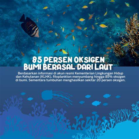 Laut sebagai Penghasil Oksigen di Bumi - raincitystudios.com
