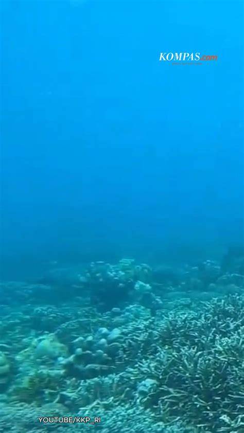 Laut Sebagai Penyumbang Oksigen Global - Antiguamarinlife - raincitystudios.com