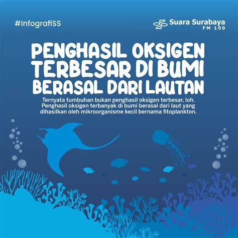 Lautan sebagai Penghasil Oksigen Bagi Bumi - raincitystudios.com