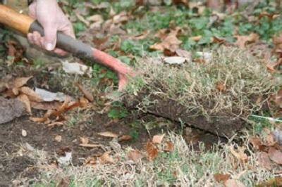 Lawn (Turfgrass) Removal Methods - University of … - raincitystudios.com
