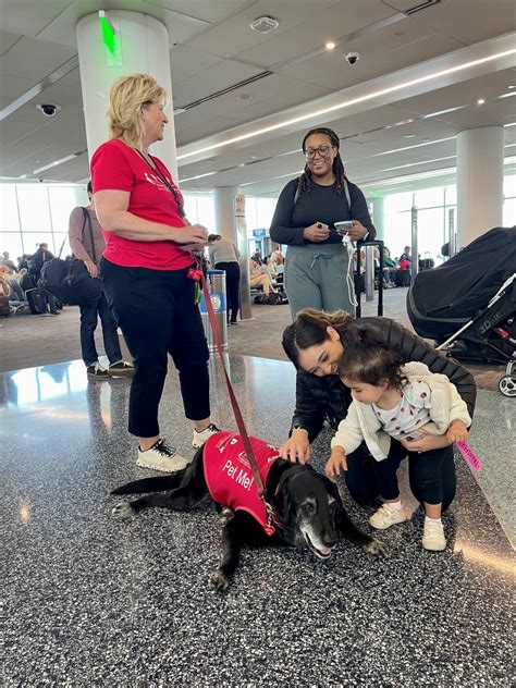 LAX celebrates 10th anniversary of Pets Unstressing Passengers program with pup parade and giveaways 