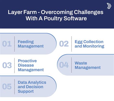 Layer Farm Management for Poultry - raincitystudios.com