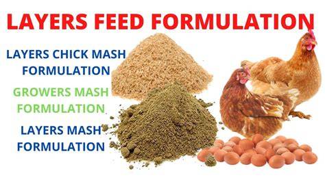 Layer Feed Formulation & Formula for Good Egg … - raincitystudios.com