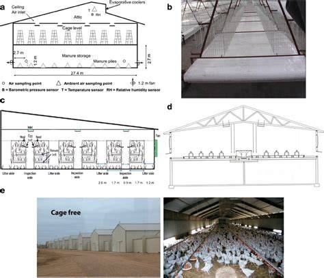 Laying Hen Housing - American Veterinary Medical Association - raincitystudios.com