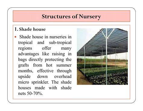 Laying Out Nursery Structures - LATIA … - raincitystudios.com