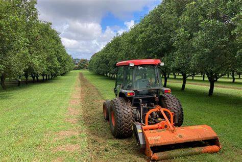 Laying the Ground Work for Orchard Management - raincitystudios.com