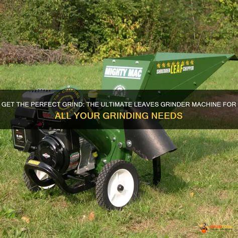 Leaf Grinder Machine - RICHI Pelletizer - raincitystudios.com