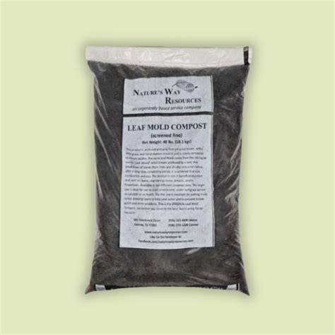 Leaf Mold! Nature's Supercharged Compost Ingredient - raincitystudios.com