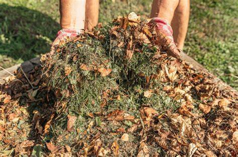 Leaf Mulch | ANL - raincitystudios.com