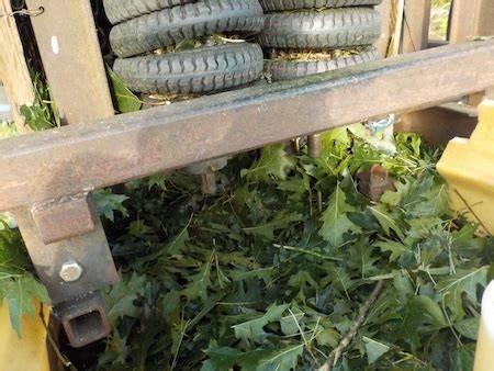 Leaf-Silage as a Nutritious and Climate-Resilient Feed … - raincitystudios.com