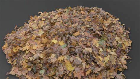 Leafmould | RHS Advice - raincitystudios.com