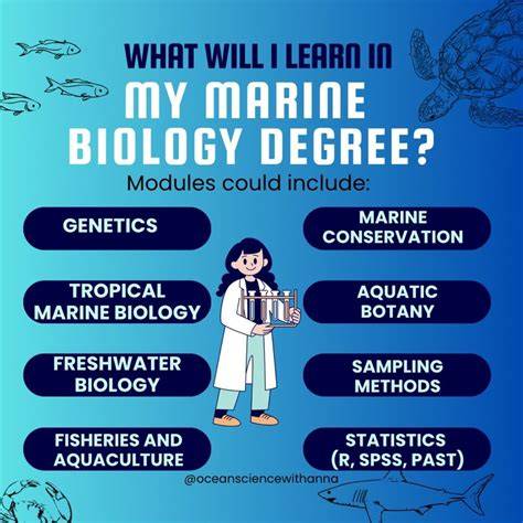 Learn about Marine Biology Research - Taylor - raincitystudios.com