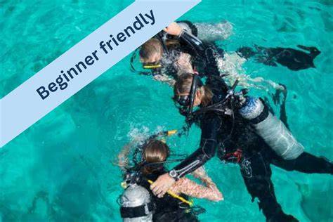 Learn To Dive - NAUI Worldwide - raincitystudios.com