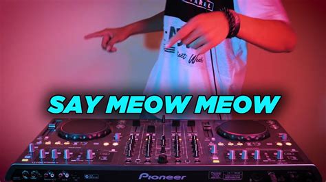 LEARN TO MEOW ! SAY MEOW MEOW (Remix) by restikha …