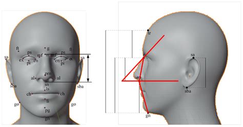Learning efficient facial landmark model for human attractiveness ... - coolestguyplanet.net