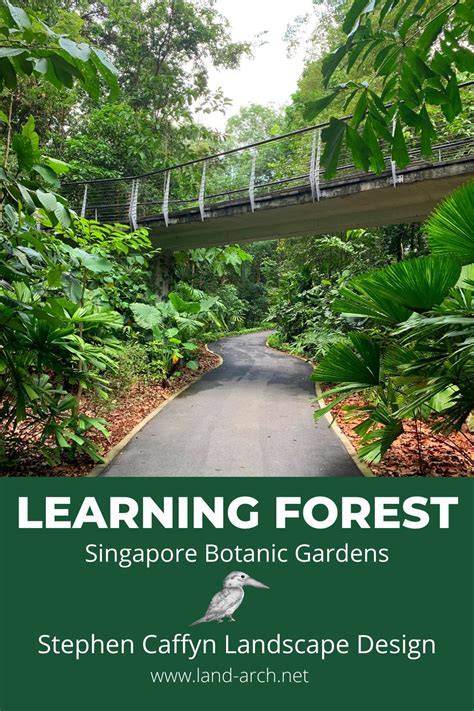 Learning Forest walk at Singapore Botanic Gardens - raincitystudios.com