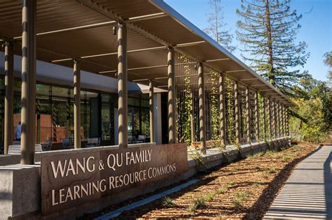 Learning Resource Details - CodeBasics - wintechmobiles.com