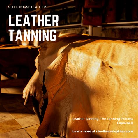Leather Tanning: The Tanning Process Explained - wintechmobiles.com