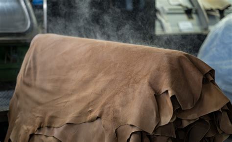 Leather Tanning at Home - Grit - wintechmobiles.com