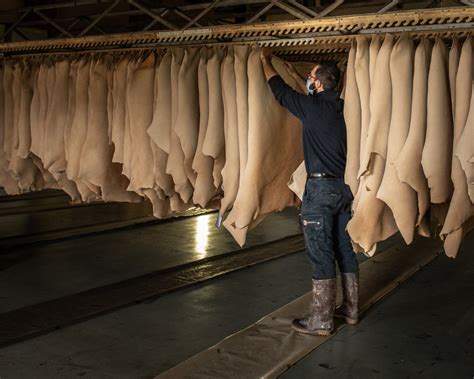 Leather Tanning - Chemicals & Process - Nera Tanning - wintechmobiles.com