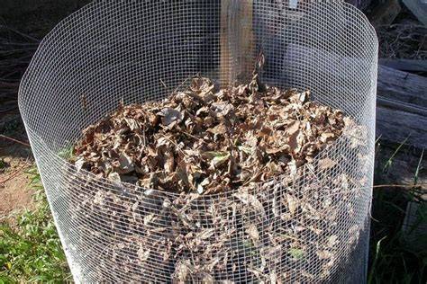Leaves Are Treasure, Not Trash - Penn State Extension - raincitystudios.com