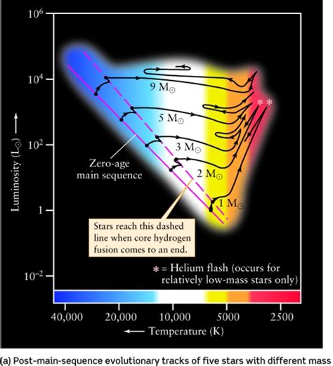 Lecture 17: Evolution of Low Mass Stars - University of … - wintechmobiles.com