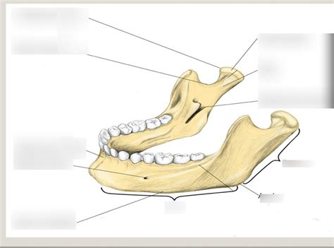 Lecture 9 fc Flashcards | Quizlet - wintechmobiles.com