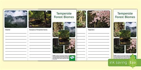 LECTURES 11 and 12: The Temperate Forest Biomes: Warm-Temperate ... - muktibox.com