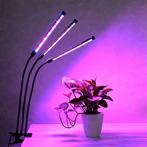 LED Grow Light Bulb House Plant Light How To Use Grow