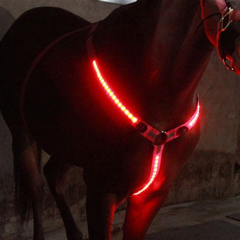 LED Safety Lights for Horses & Equestrians - Tail Lights Store