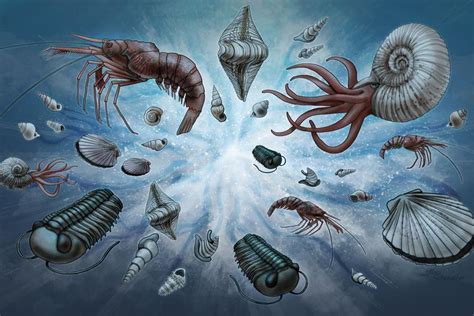 Ledakan Kambrium - Wikipedia bahasa Indonesia, ensiklopedia bebas - muktibox.com