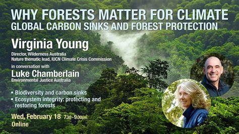 Legal Access to Forests: Why Permits Matter for People and Nature - raincitystudios.com