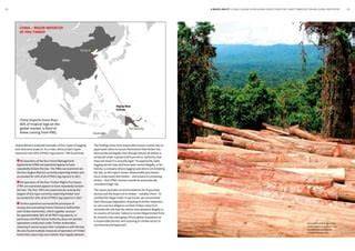Legal framework for forest management and timber trade of Papua … - raincitystudios.com