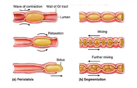 Length contraction: History of Science Study Guide |... - wintechmobiles.com