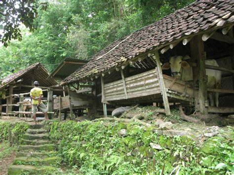 Les Permakultur Jogja - Membangun Lahan Produktif … - raincitystudios.com