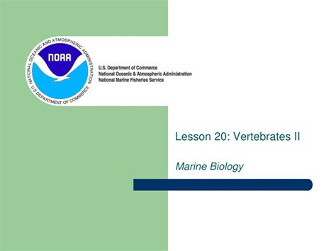 Lesson 20: Vertebrates II - NOAA - raincitystudios.com