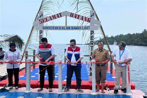 Lestarikan Ekosistem Laut, Pertamina Patra Niaga Tanjung Gerem ... - raincitystudios.com