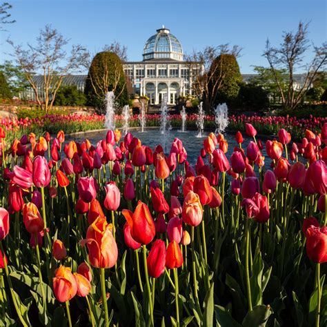 LEWIS GINTER BOTANICAL GARDEN, Richmond - Tripadvisor